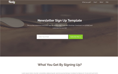 Nedy - Newsletter Sign-Up Landing Page