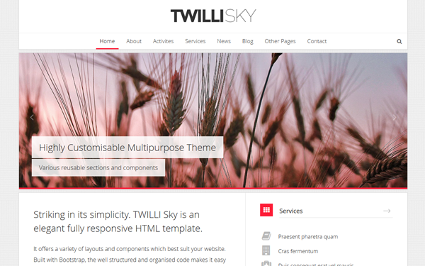 TWILLI SKY: Responsive HTML Template