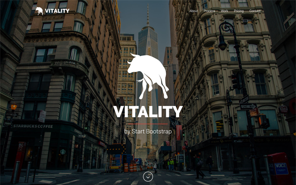 Vitality: Multipurpose One Page Theme
