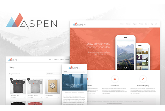 Aspen WordPress Theme