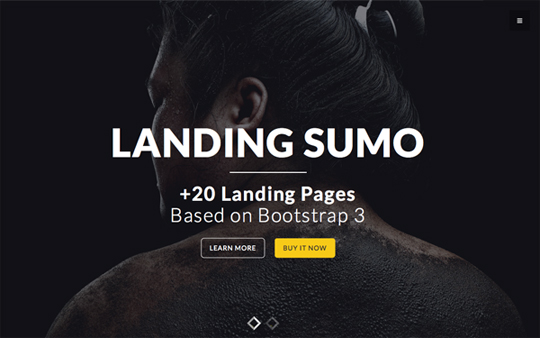 Landing Sumo - Premium Landing Pages