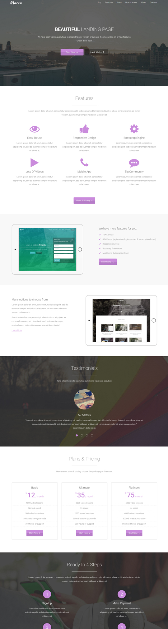 Marco Bootstrap Template - Layout 16