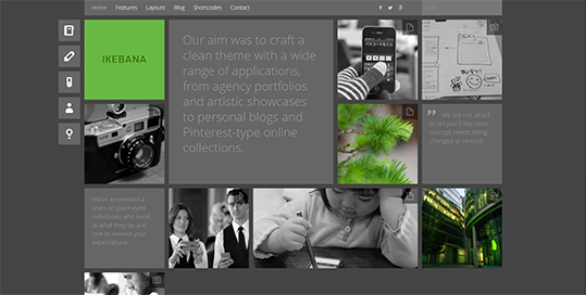 Ikebana - Masonry WordPress Portfolio Theme