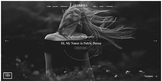 Panama - Photography Portfolio WordPress Theme