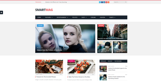 Smartmag-wordpress-theme-magazine