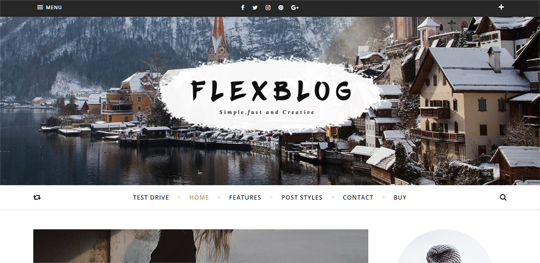 Flexblog - Fast Creative WordPress Blog Theme