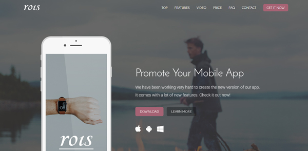 rois bootstrap landing pages 14