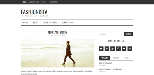 Fashionista - Free Magazine WordPress Theme