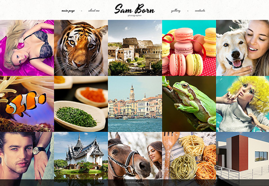 Simple and Modern Photographer Template