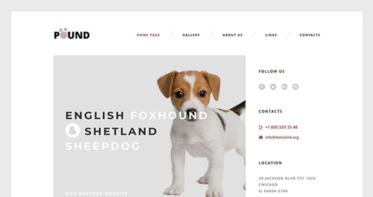 Pound - Animal Care Responsive Website Template