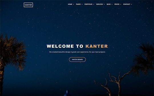 Kanter - Creative Minimal Website Template
