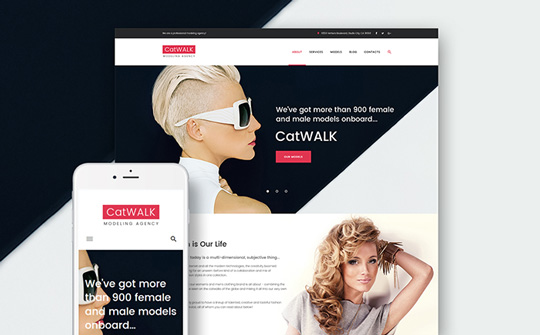 Catwalk Fashion Modeling Agency Free WordPress Theme