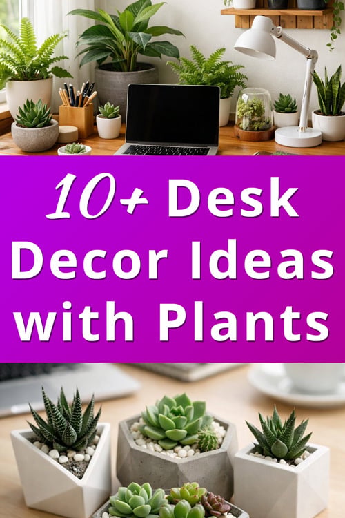 Desk Decor Ideas with Plants article 1
