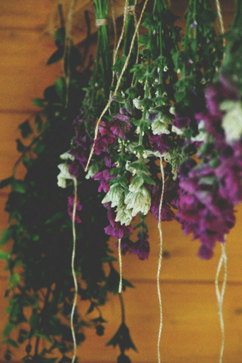 drying flowers vintage