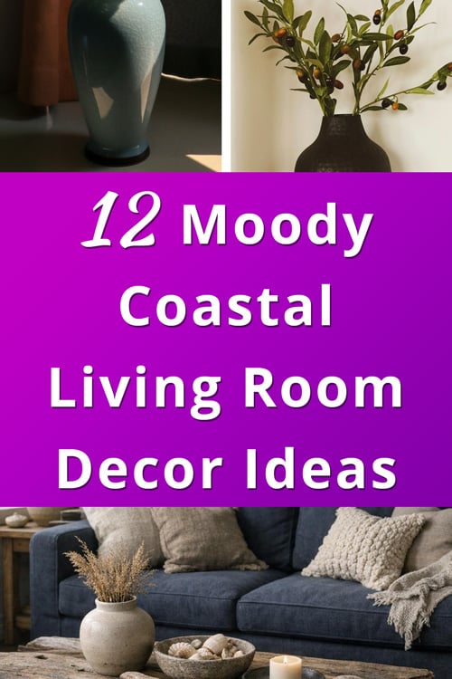 Moody Coastal Living Room Decor Ideas