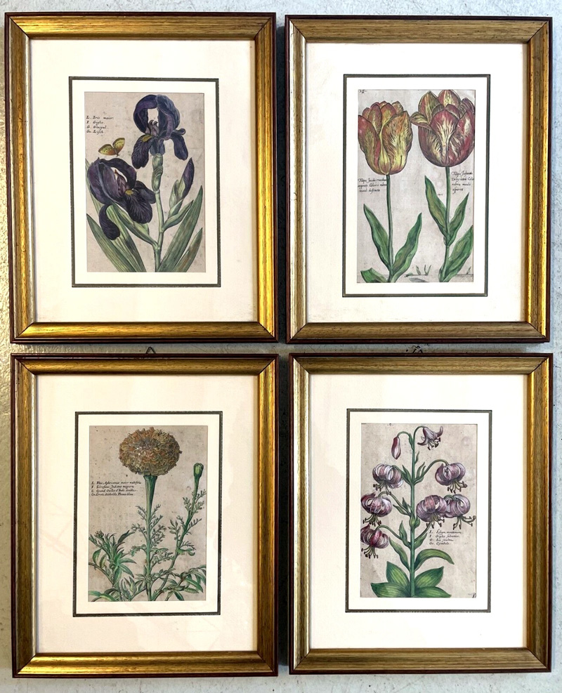 Vintage Botanical Art