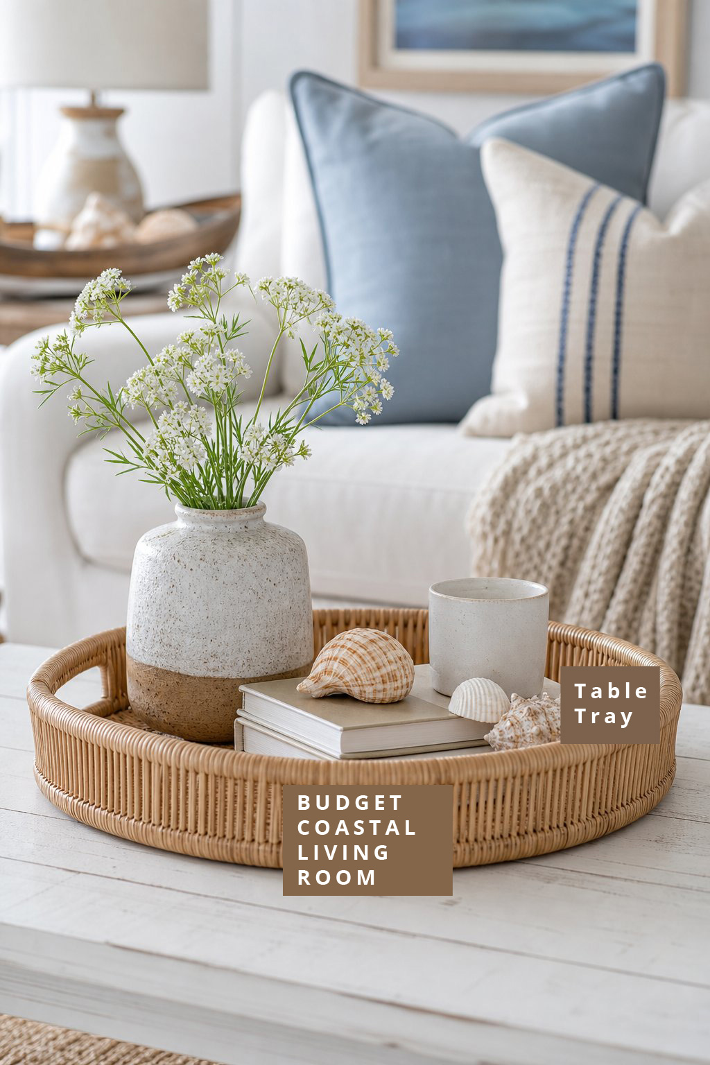 Budget Coastal Living Room Decor Idea 9 Coffee Table Tray