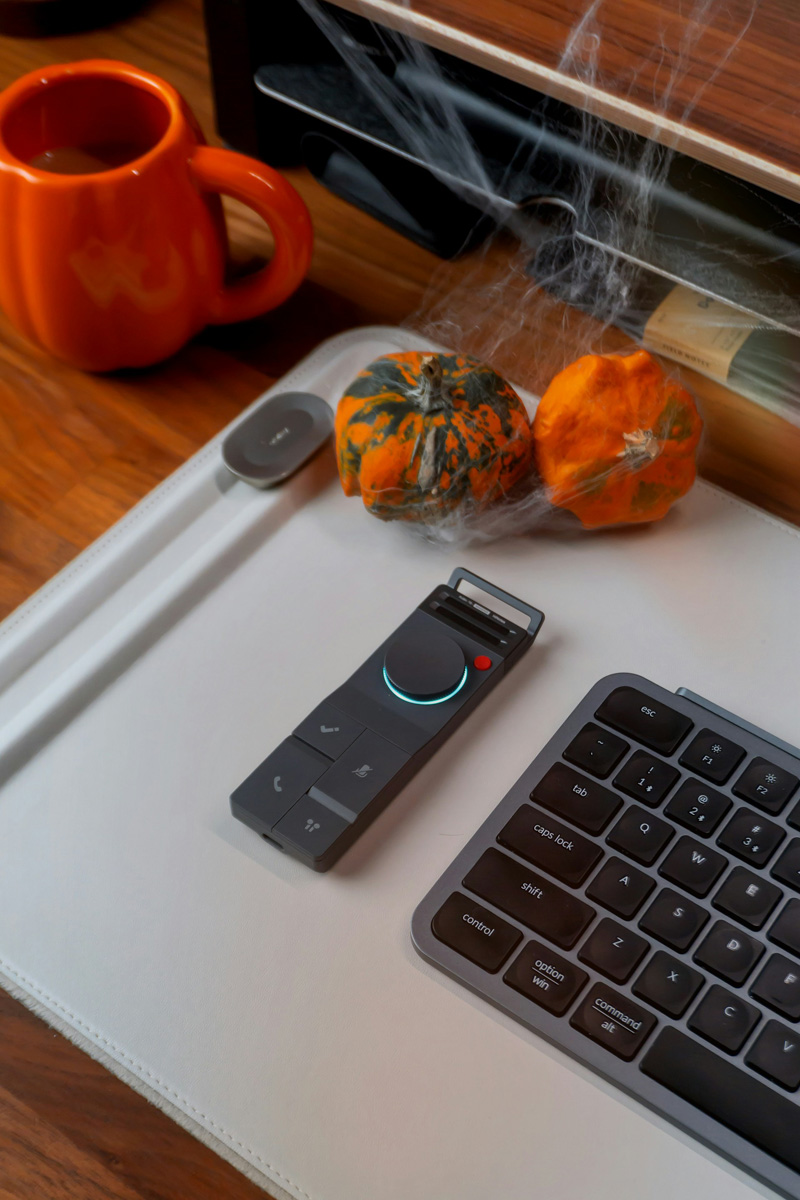 Autumn Desk Decor Small Pumpkins