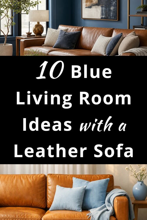 Blue Living Room Ideas with a Leather Sofa