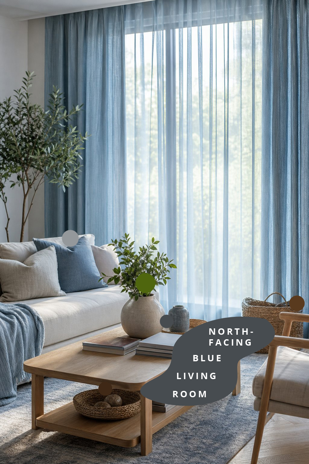 Blue North Facing Living Room Decor Idea 5 Soft Blue Curtains