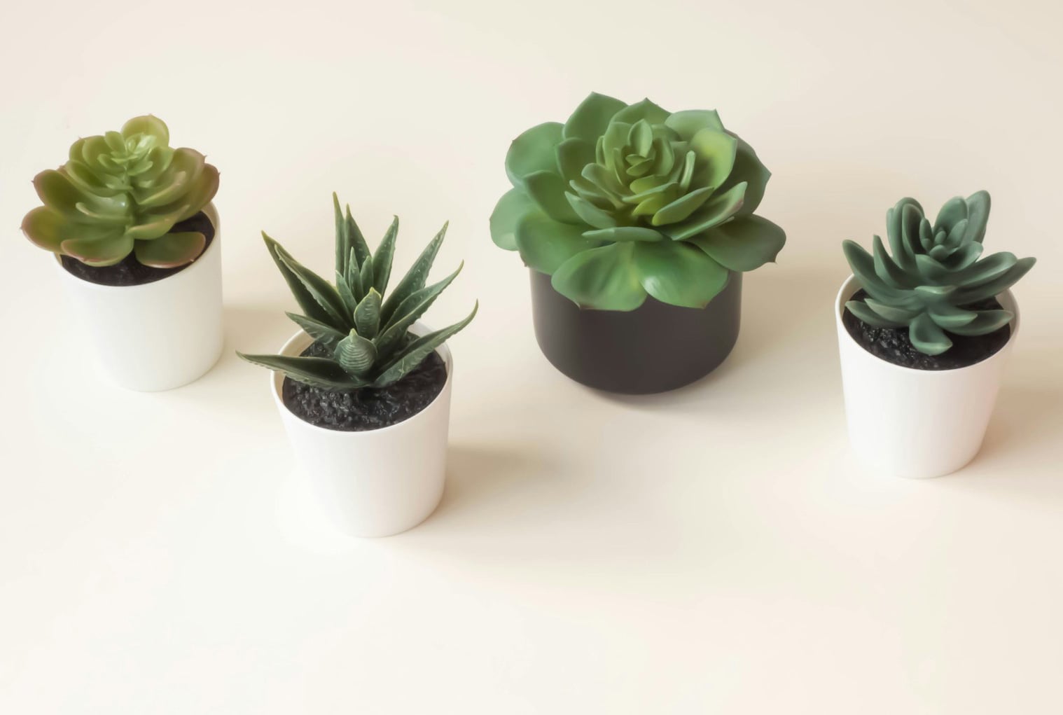 green faux succulent plants in pots