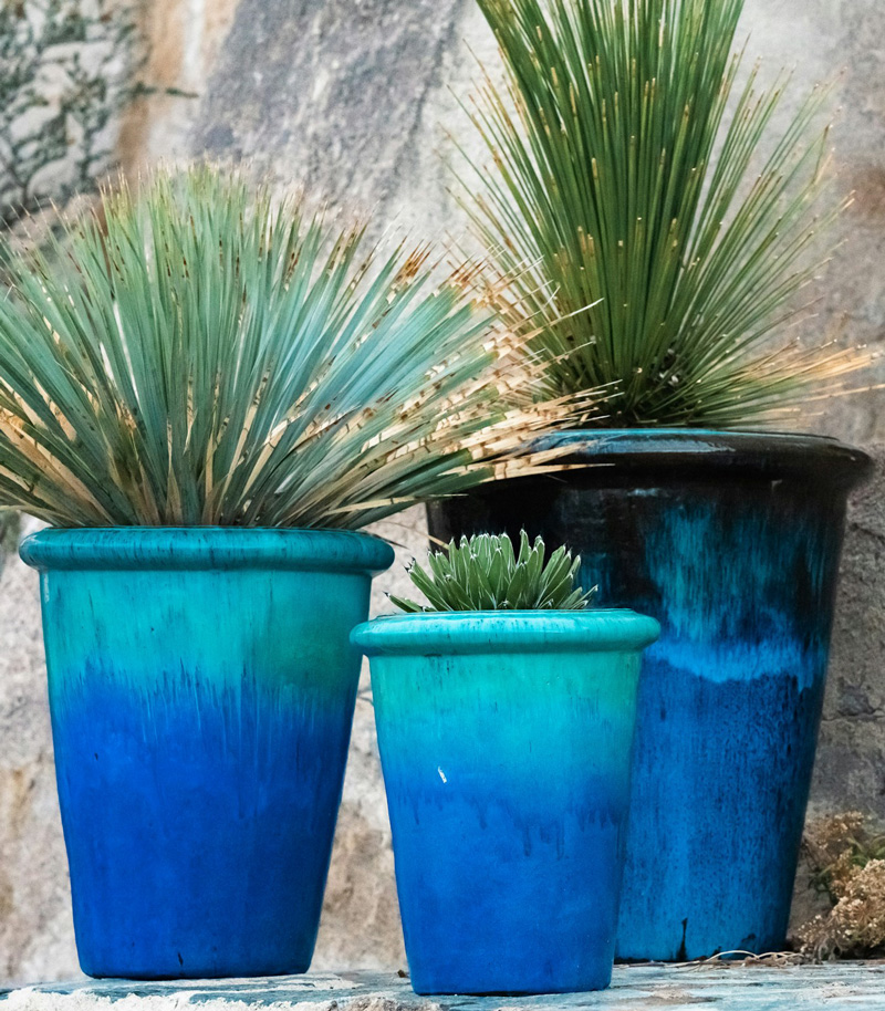 plants in tall blue pots