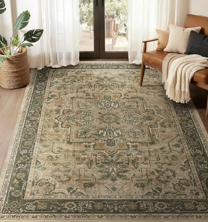 Jainmy Vintage Distressed 5x7 Area Rug, Multi Brown Olive Accents