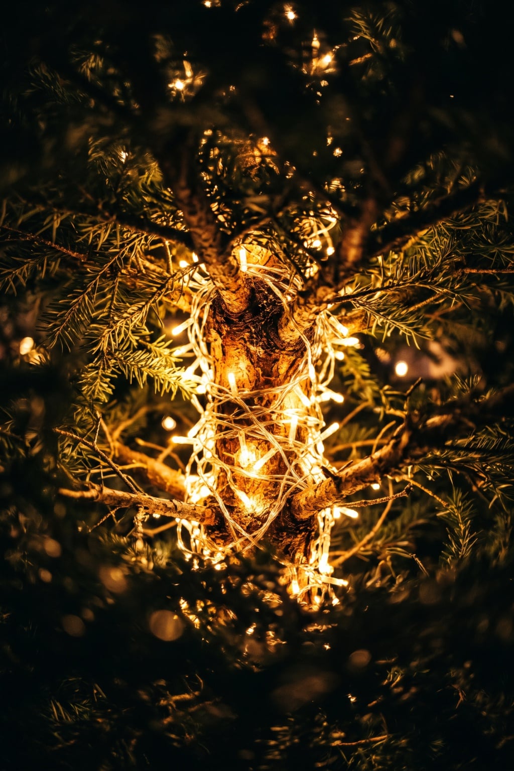 living room decor christmas lights idea 3 Wrapping the Tree Trunk